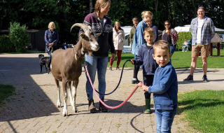 Animales en el camping - Vodatent - Camping de Hinde - Dronten, Flevoland, Países Bajos2