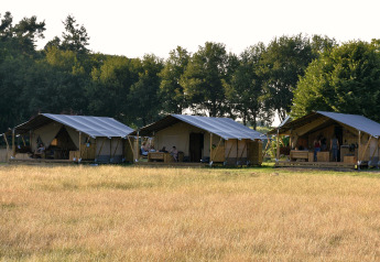 Drie safaritenten met sanitair op een veld bij een lodge, omgeven door bomen in de zomerzon.