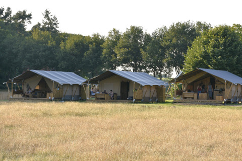 Drie safaritenten met sanitair op een veld bij een lodge, omgeven door bomen in de zomerzon.