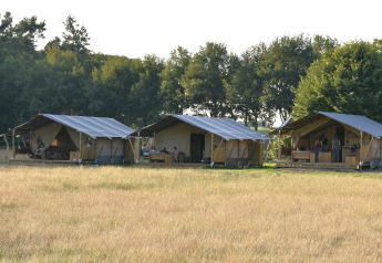 Safaritenten naast elkaar - Mooirust - Leersum, Utrecht, Nederland