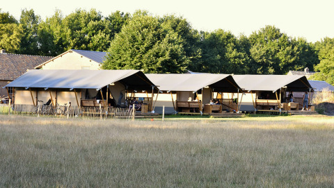 Tentes safari dans un champ - Mooirust - Leersum, Utrecht, Pays-Bas