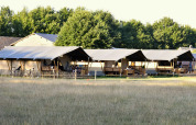 Tentes safari dans un champ - Mooirust - Leersum, Utrecht, Pays-Bas