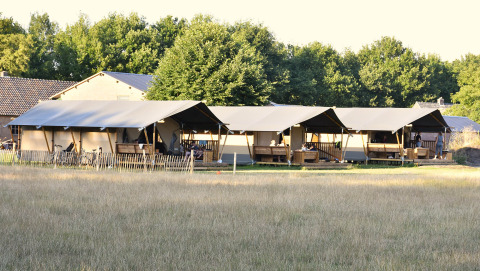 Safaritenten in veld - Mooirust - Leersum, Utrecht, Nederland