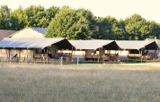 Safari-Zelte auf dem Feld - Mooirust - Leersum, Utrecht, Niederlande