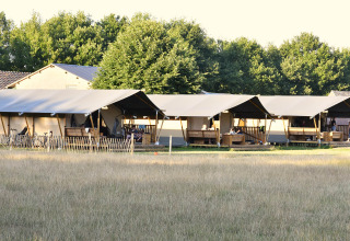 Safaritenten in veld - Mooirust - Leersum, Utrecht, Nederland