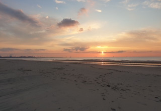 Plage - Vodatent - Strandcamping Jagtveld - _s Gravenzande, Hollande méridionale, Pays-Bas