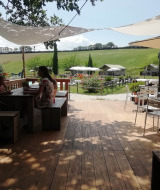 Catering en terraza - Tenuta Tredici Ulivi - Vodatent - Senigallia, Le Marche, Italia