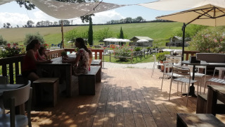 Restauration en terrasse - Tenuta Tredici Ulivi - Vodatent - Senigallia, Le Marche, Italie