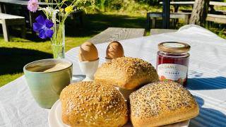 Desayuno - Tolne Camping - Vodatent - Sindal, Jutlandia Septentrional, Dinamarca