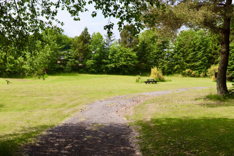 Pad leidt naar grasveld met picknicktafel, omringd door bomen, bij Tolne Camping in Noord-Jutland, Denemarken.