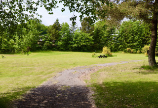 Piazzola erbosa del campeggio - Tolne Camping - Vodatent - Sindal, Jutland settentrionale, Danimarca