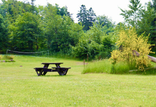 Rustieke picknicktafel op een groene open plek met volleybalnet en omliggende bomen bij Tolne Camping.
