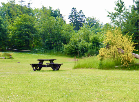 Lawn area with table - Tolne Camping - Vodatent - Sindal, North Jutland, Denmark