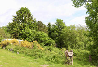 Entorno verde - Tolne Camping - Vodatent - Sindal, Jutlandia Septentrional, Dinamarca