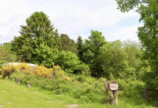 Green surroundings - Tolne Camping - Vodatent - Sindal, North Jutland, Denmark