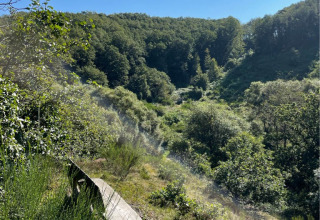 Entorno verde - Camping Drei Spatzen - Vodatent - Utscheid, Renania-Palatinado, Dinamarca