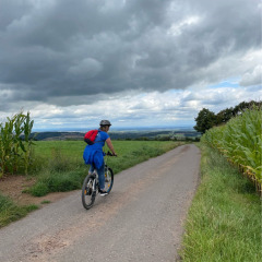 Ciclismo en los alrededores - Camping Drei Spatzen - Vodatent - Utscheid, Renania-Palatinado, Dinamarca