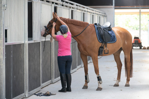 Persoon zet een paard klaar in een moderne stal, te vinden in vakantiepark Camping Samoza, Gelderland.