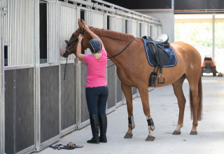 Riding stables at the campsite - Camping Samoza - Vierhouten, Gelderland, Netherlands