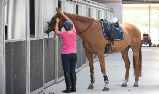 Riding stables at the campsite - Camping Samoza - Vierhouten, Gelderland, Netherlands