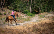 Equitazione nella natura - Camping Samoza - Vierhouten, Gheldria, Paesi Bassi