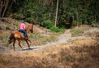 Horseback riding in nature - Camping Samoza - Vierhouten, Gelderland, Netherlands
