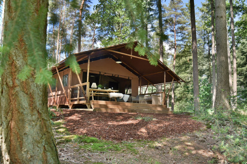 Tienda safari entre los árboles - Camping Samoza - Vierhouten, Güeldres, Países Bajos