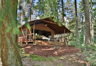 Luxe safaritent met houten terras te midden van een bos bij Camping Samoza in Gelderland, Nederland.