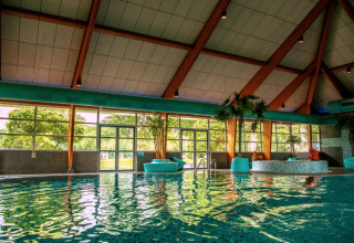Indendørs swimmingpool - EuroParcs Bad Hoophuizen - Hulshorst, Gelderland, Holland