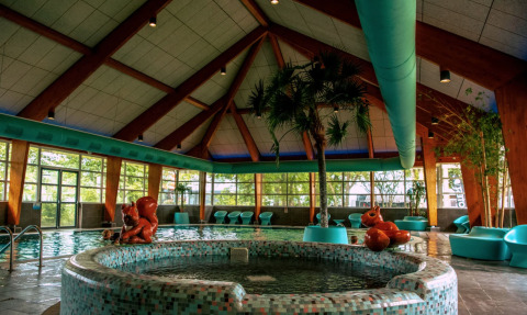 Piscina cubierta con piscina infantil - EuroParcs Bad Hoophuizen - Hulshorst, Güeldres, Países Bajos