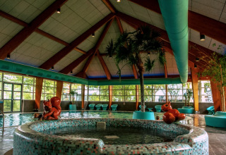 Binnenzwembad met peuterbad - EuroParcs Bad Hoophuizen - Hulshorst, Gelderland, Nederland