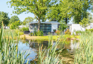 Modern vakantiehuis aan een vijver met riet en bomen bij Bad Hoophuizen, een vakantiepark in Gelderland.