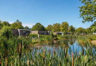 Hébergement au bord de l'eau - EuroParcs Bad Hoophuizen - Hulshorst, Gelderland, Pays-Bas
