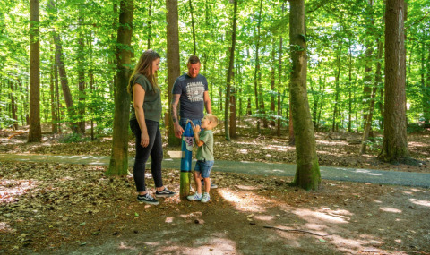 Wandern im Wald - EuroParcs Bad Hoophuizen - Hulshorst, Gelderland, Niederlande