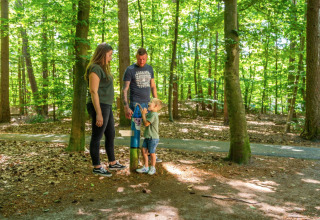 Caminar por el bosque - EuroParcs Bad Hoophuizen - Hulshorst, Güeldres, Países Bajos
