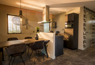 Cocina y comedor modernos con iluminación elegante en Modus Lodge, Bad Hoophuizen, Países Bajos.