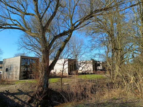 Moderne Tiny House-lodge in Bad Hoophuizen, Nederland, omgeven door kale bomen en een blauwe lucht.