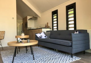 Salón del Beach House en Bad Hoophuizen, Países Bajos, con sofá gris, mesas y decoración moderna.