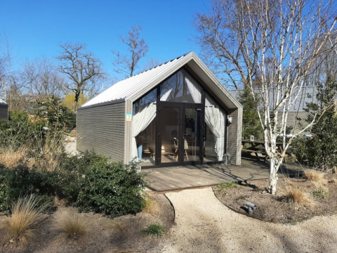 Ein modernes Tiny Beach House Lodge mit großen Fenstern, umgeben von Natur und Bäumen bei blauem Himmel.
