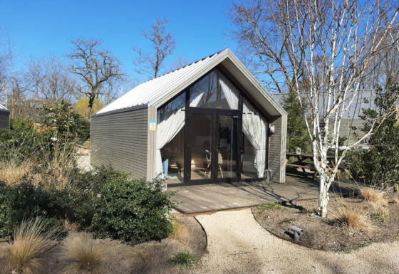 Ein modernes Tiny Beach House Lodge mit großen Fenstern, umgeben von Natur und Bäumen bei blauem Himmel.