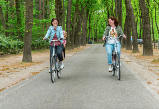 Cyclisme - EuroParcs De Zanding - Otterlo, Gelderland, Pays-Bas