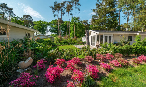 Accommodatie tussen het groen - EuroParcs De Zanding - Otterlo, Gelderland, Nederland