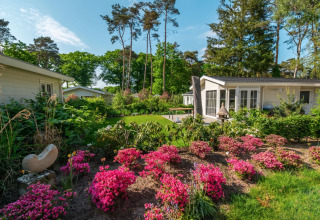 Overnatning i grønne omgivelser - EuroParcs De Zanding - Otterlo, Gelderland, Holland