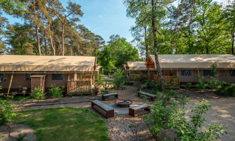 Glamping accommodatie in een vakantiepark met luxe tenten, houten terrassen en zitplaatsen buiten in het bos.