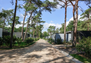 Rustige laan met moderne glampingaccommodaties omringd door bomen in een vakantiepark op een zonnige dag