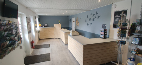 Receptionen på Ballum Camping i Syddanmark, med moderne indretning, trædisk og vægdekorationer.