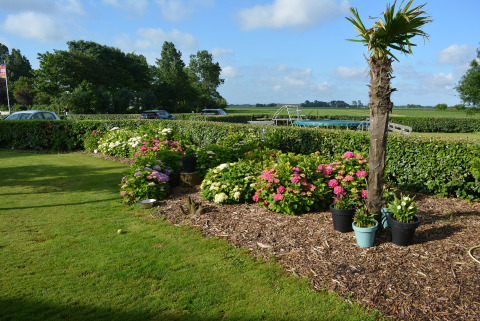 Trampolin und Umgebung - Camping de Tulpenweide - Vodatent - Breezand, Noord-Holland, Niederlande