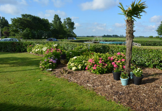 Cama elástica y alrededores - Camping de Tulpenweide - Vodatent - Breezand, Noord-Holland, Países Bajos