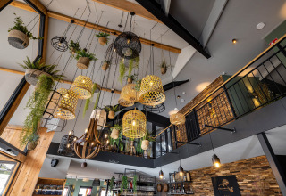 Modern interieur van Papillon Country Resort met hangende planten en rieten lampen in Overijssel, Nederland.