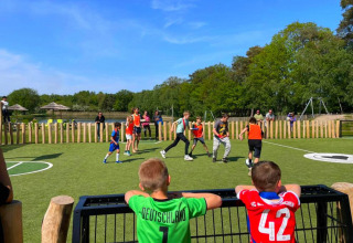 Kinderen spelen voetbal op een kunstgrasveld bij Papillon Country Resort, met groene natuur op de achtergrond.